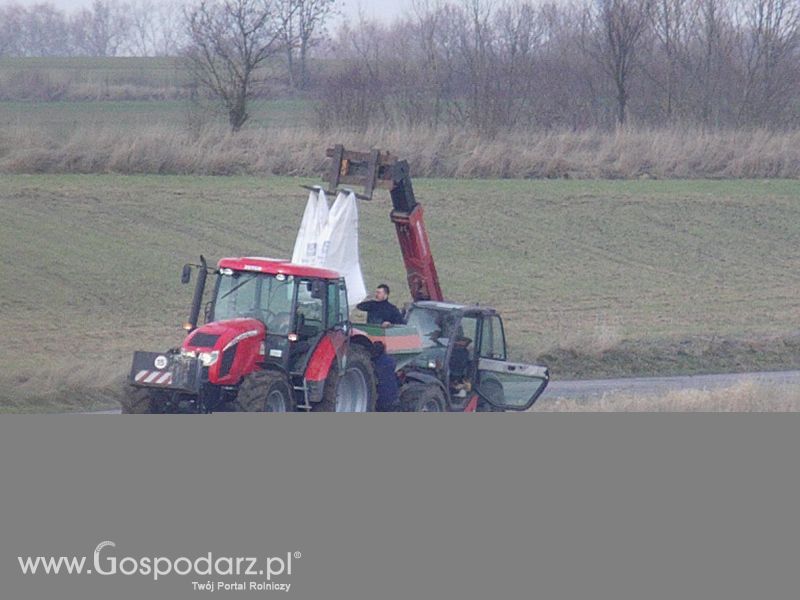 Moje zdjęcia
