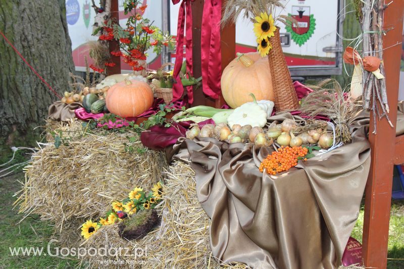 Ogólnopolski Festiwal Wieprzowiny w Łasinie