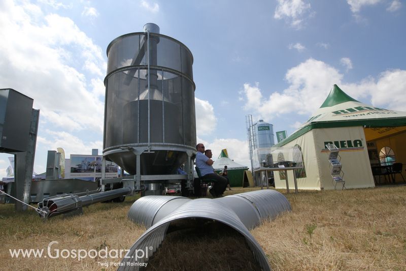 Riela na OPOLAGRZE 2015