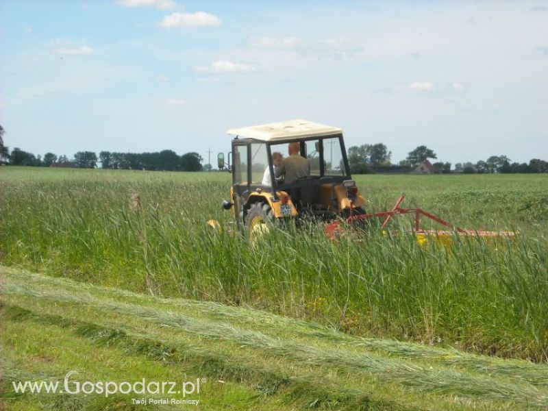 pierwsze sianokosy w roli głownej ursus c330M...