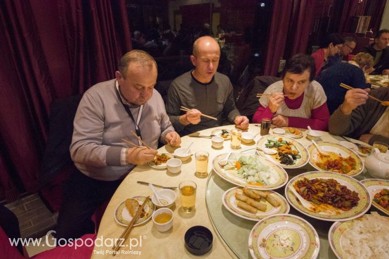 Gospodarz.pl w Chinach