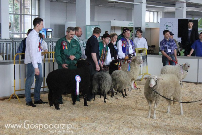 XXVI Krajowa Wystawa Zwierząt Hodowlanych - sobota i niedziela