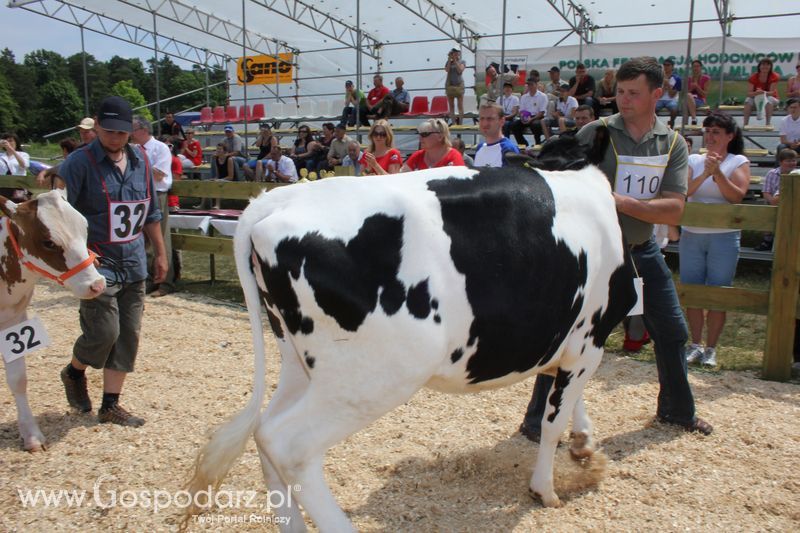 Superchampioni i championi Śląskiej Wystawy Bydła Mlecznego Opolagra 2011