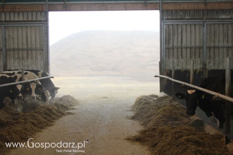 Wyjazd studyjny na farmę w Hohenhameln (Niemcy)