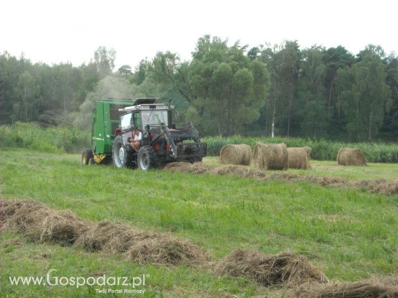 zbieranie siana 2012 ursusem c330m i 1014 de luxe