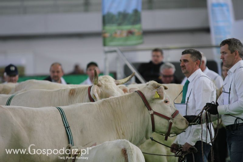 KWZH 2015 piątek