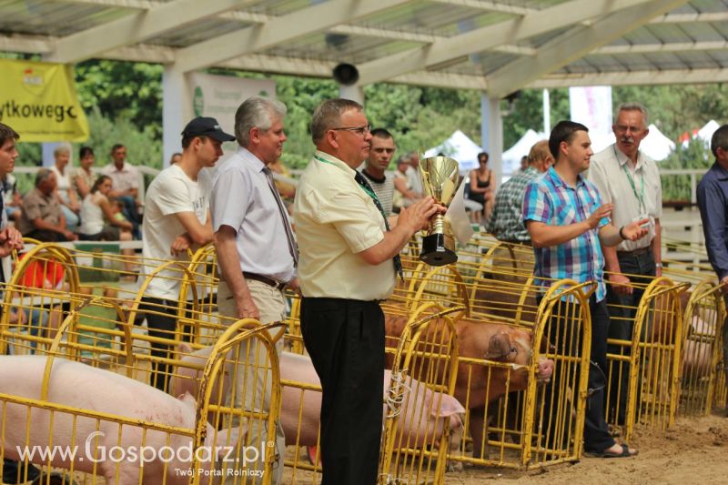 Zielone AGRO SHOW – POLSKIE ZBOŻA 2014 w Sielinku - niedziela