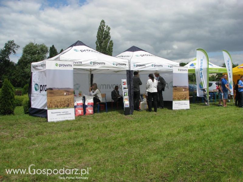 Festiwal Wieprzowiny w Koźminie Wielkopolskim 2013