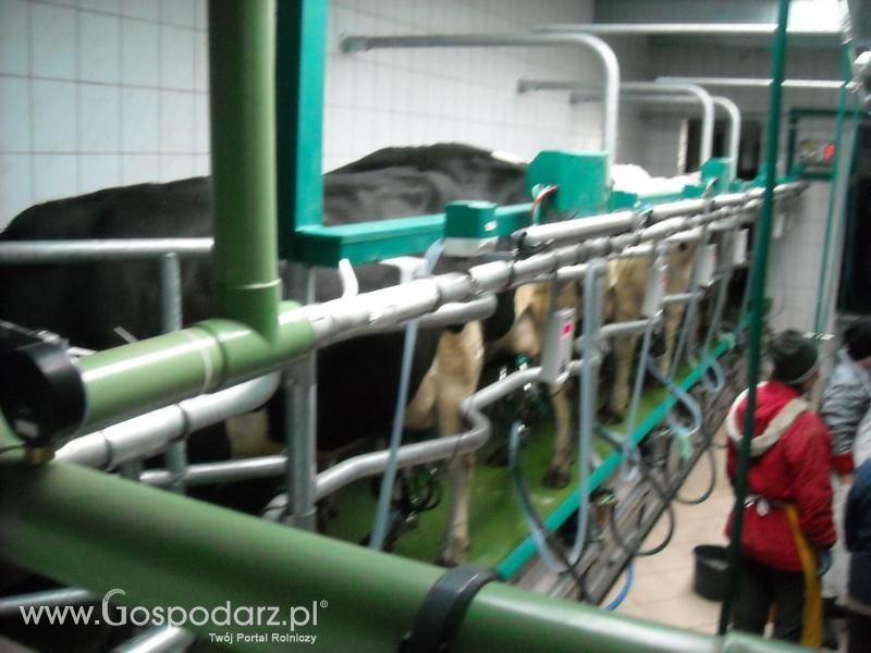 Dzień pracy rolnika-wizyta MrZgredy u MafiaOgiegooo