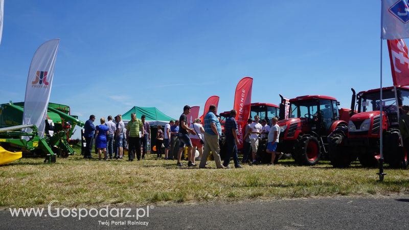 Zetor na ZIELONE AGRO SHOW w Ułężu 2017
