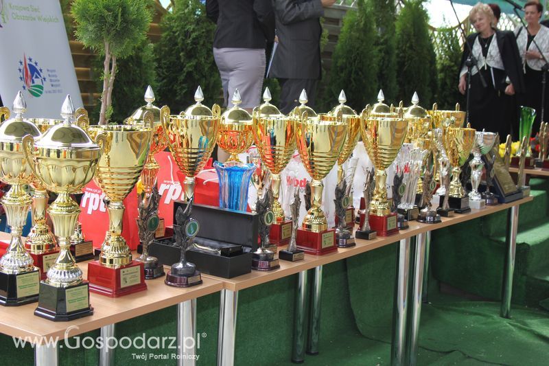 XVIII Regionalna Wystawa Zwierząt Hodowlanych w Szepietowie - niedziela