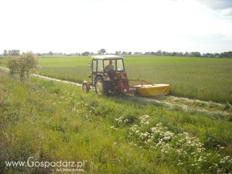 pierwsze sianokosy w roli głownej ursus c330M...