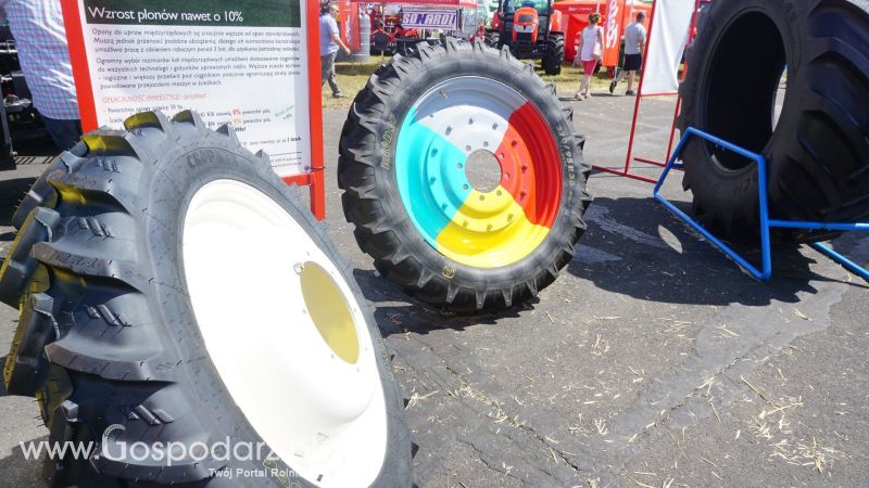 Grasdorf na Opolagrze 2017
