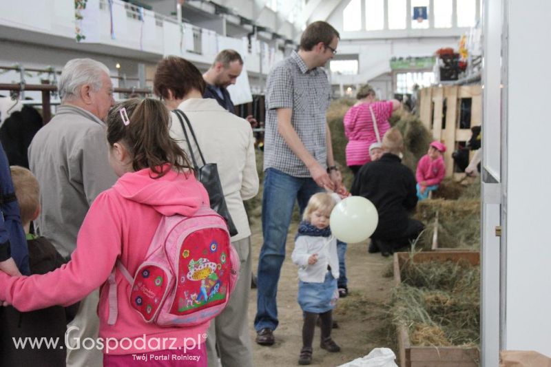 XXVI Krajowa Wystawa Zwierząt Hodowlanych - sobota i niedziela