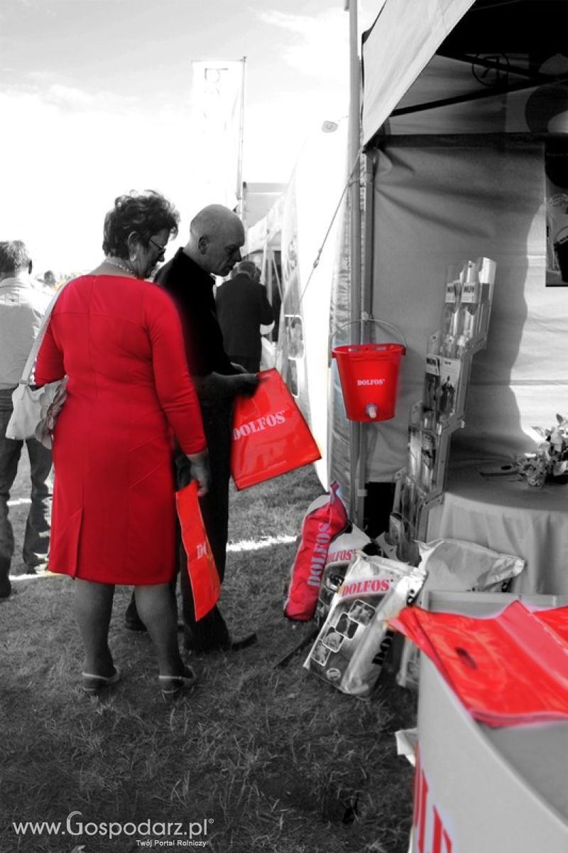 Dolfos na Agro Show w Bednarach