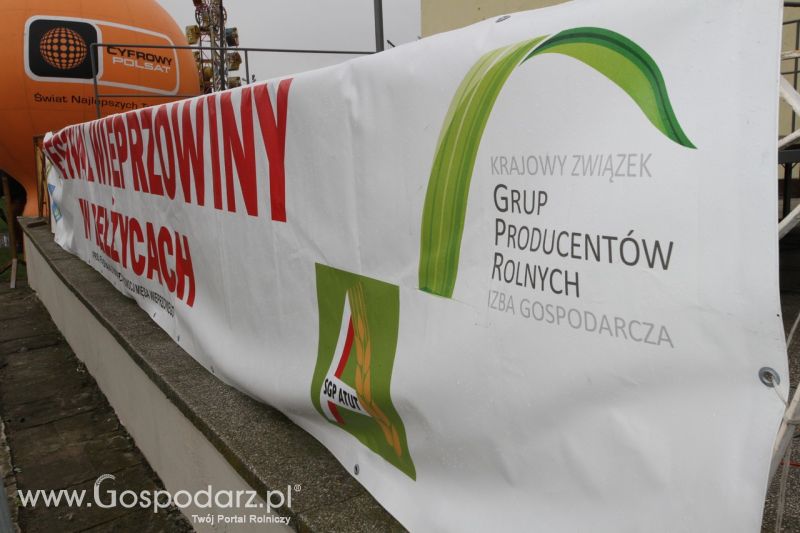 Festiwal Wieprzowiny w Bełżycach - niedziela
