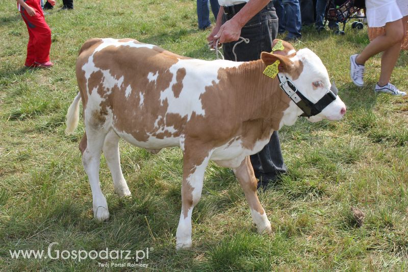 Młodzi hodowcy w Rudawce Rymanowskiej