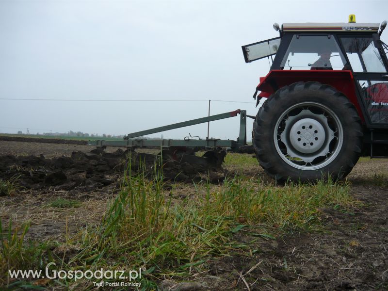 MrZgredy de luxa mają więc w polu sobie rade dają Orka Zimowa 2011