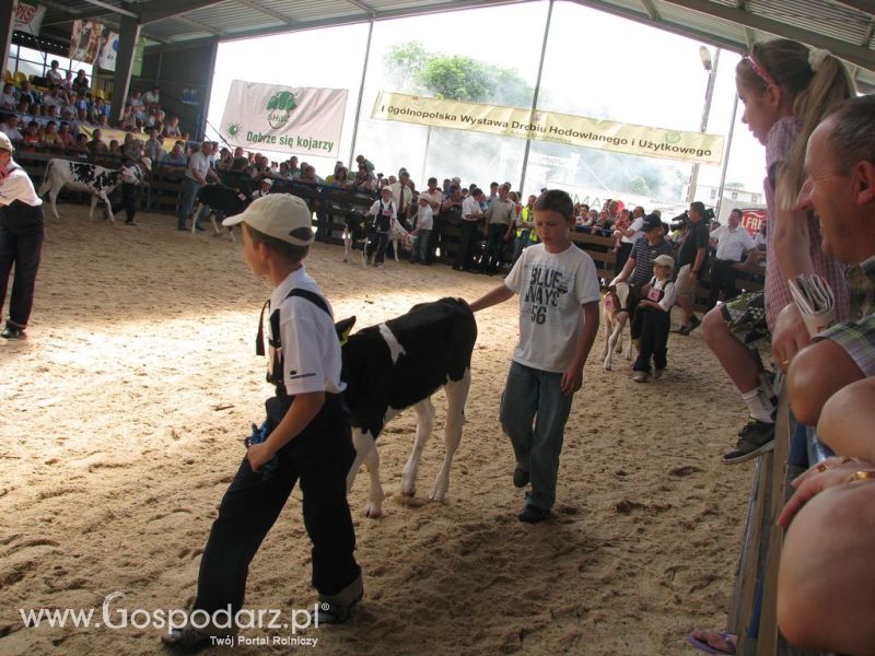 Młody Hodowca - Szepietowo 2012 XIX Regionalna Wystawa Zwierząt Hodowlanych
