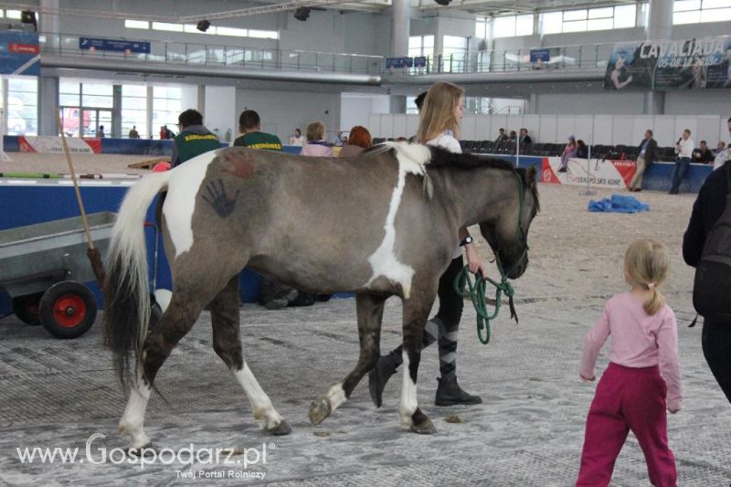 XXVI Krajowa Wystawa Zwierząt Hodowlanych - sobota i niedziela