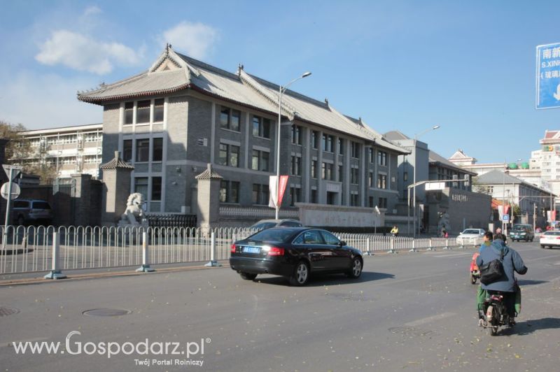 Gospodarz.pl w Chinach