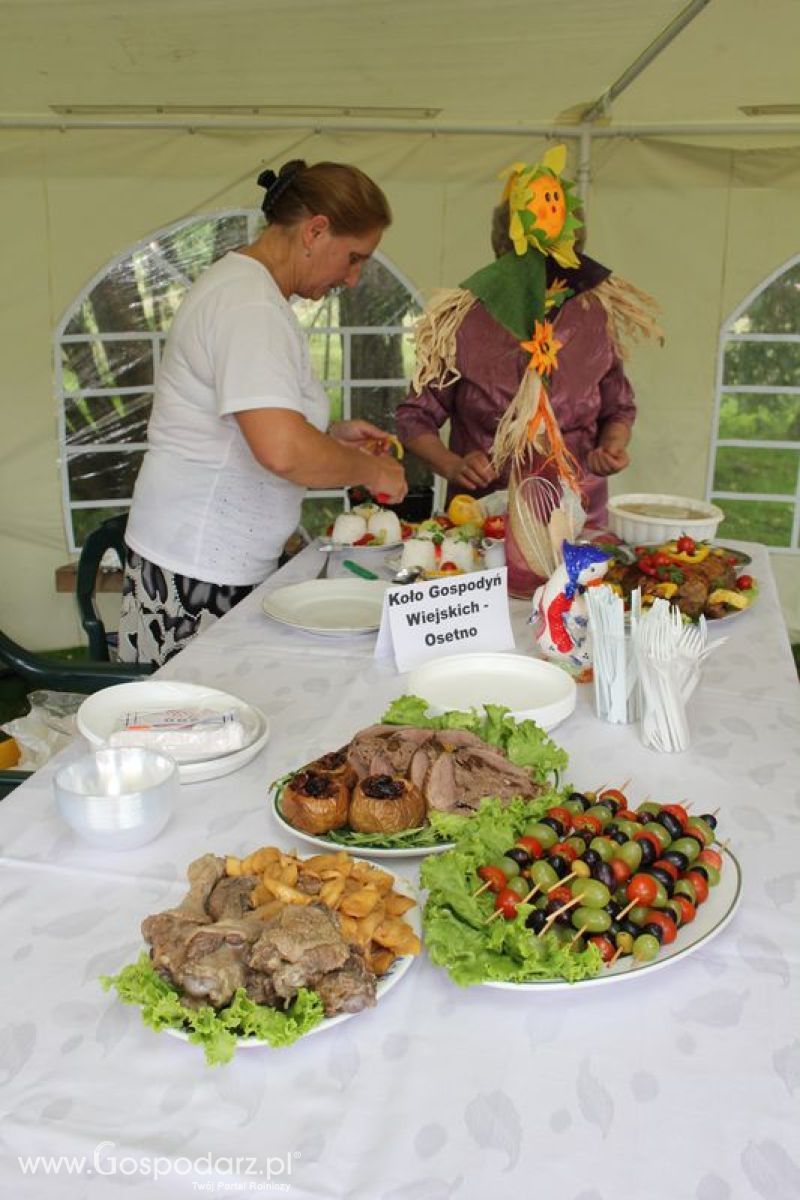 VIII Święto Gęsi - Konkurs kulinarny Najlepsza potrawa z Gęsi