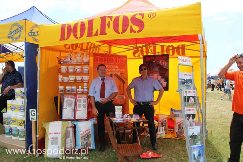 DOLFOS na Opolagra 2012