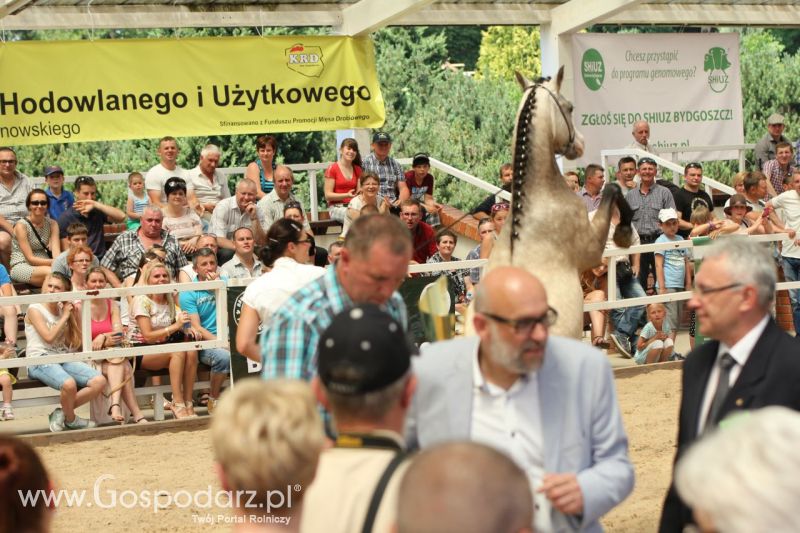 Zielone AGRO SHOW – POLSKIE ZBOŻA 2014 w Sielinku - niedziela