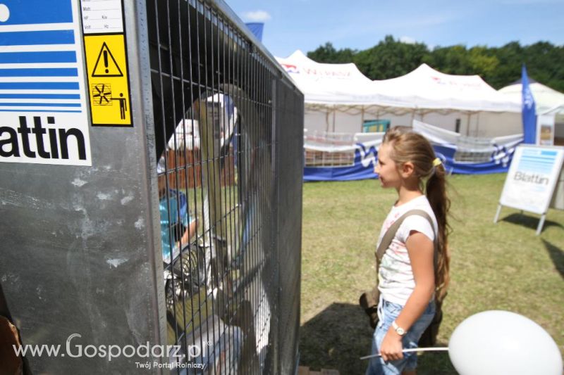 Blattin na targach AGRO-TECH Minikowo 2013