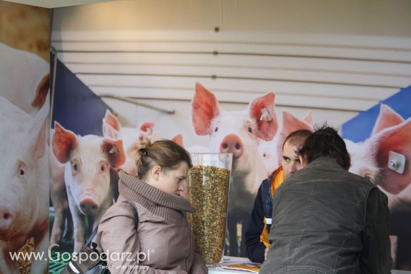 AGRO SHOW BEDNARY 2017 (Niedziela)