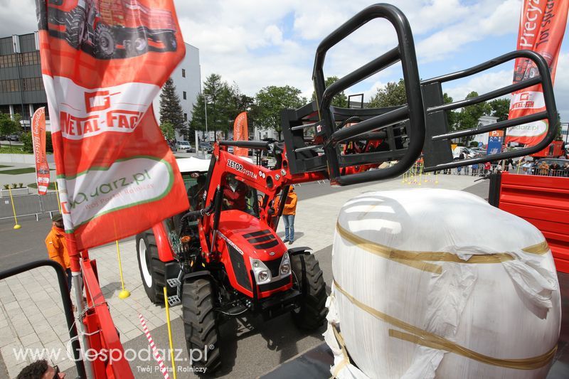 Precyzyjny Gospodarz na KWZH 2015 - niedziela