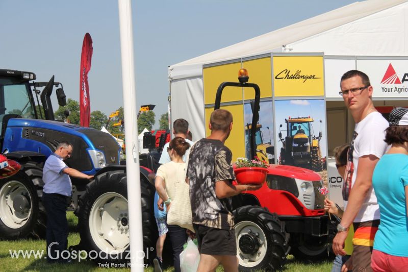 Zielone AGRO SHOW – POLSKIE ZBOŻA 2014 w Sielinku - niedziela