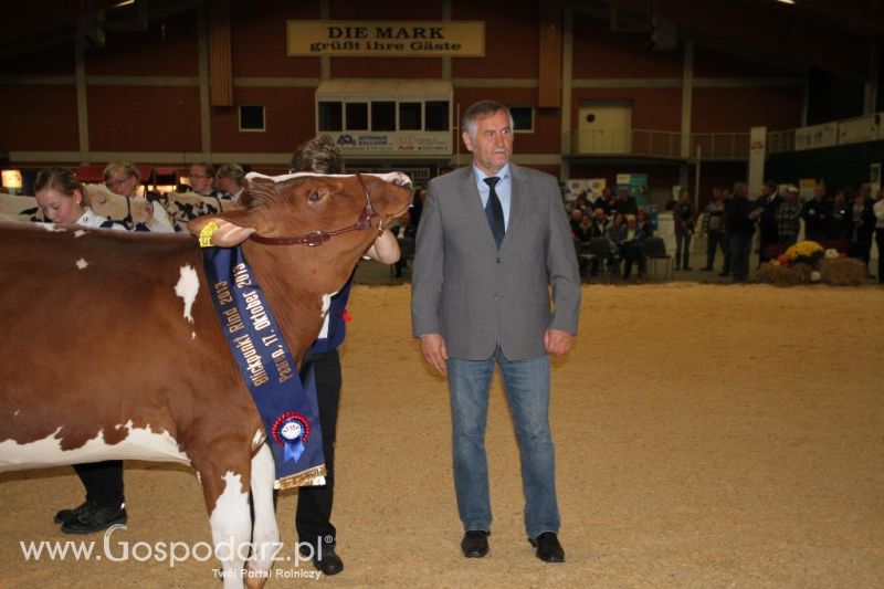 Wystawa  Blickpunkt Rind 2013 w miejscowości Paaren/Glien (Niemcy)