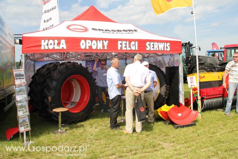 Grasdorf Koła Polska na Zielonym AGRO SHOW – POLSKIE ZBOŻA 2014 w Sielinku