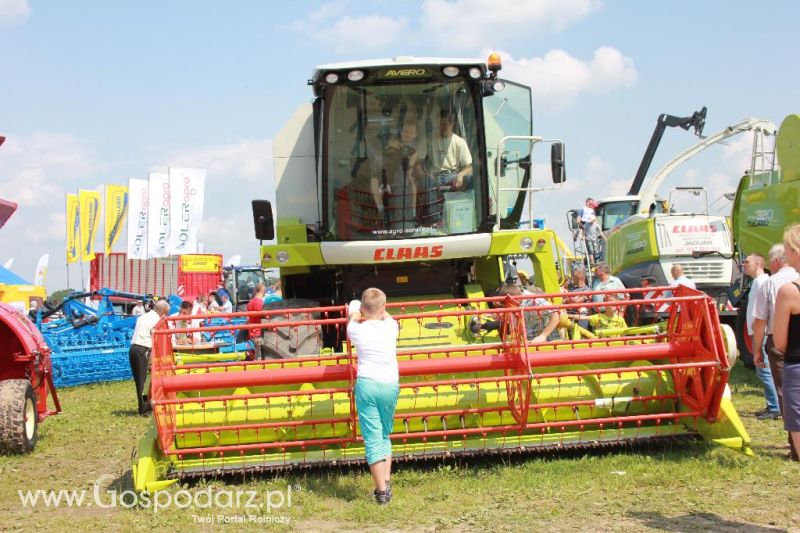 Regionalna Wystawa Zwierząt Hodowlanych i Dni z Doradztwem Rolniczym w Szepietowie-niedziela