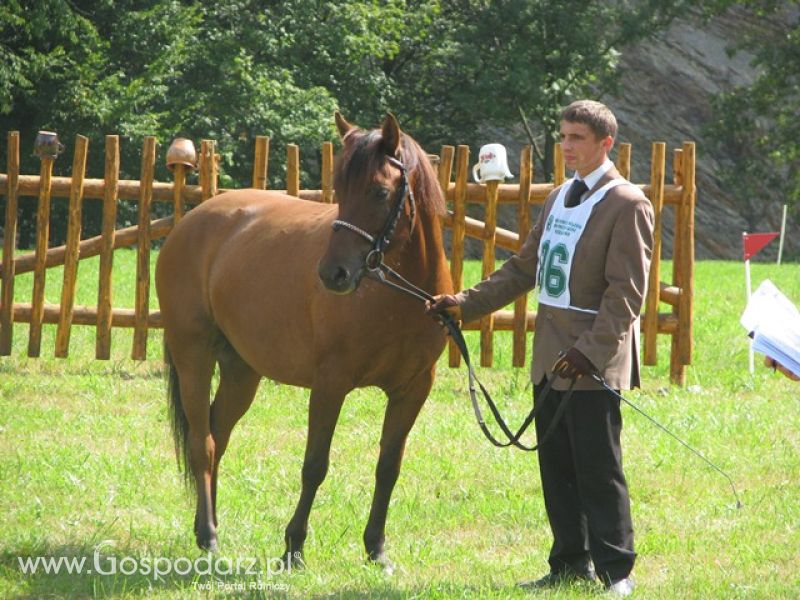 Krajowa Wystawa Ras Rodzimych Rudawka Rymanowska 2012