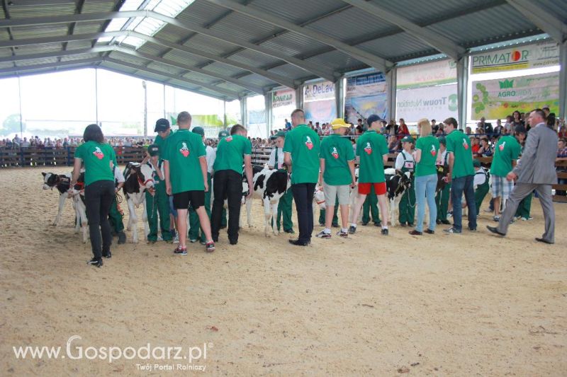 Młody Hodowca - Szepietowo 2013 XX Regionalna Wystawa Zwierząt Hodowlanych