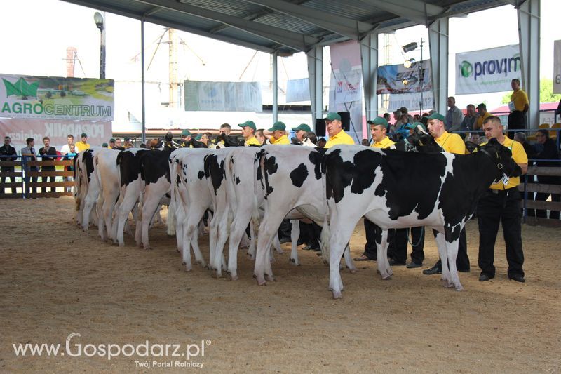 XVIII Regionalna Wystawa Zwierząt Hodowlanych i Dni z Doradztwem Rolniczym w Szepietowie - Sobota