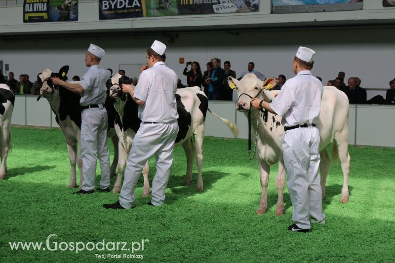 Krajowa Wystawa Zwierząt Hodowlanych w Poznaniu 2017 (piątek, 5 maja)