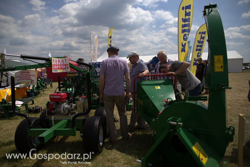 Kellfri na OPOLAGRZE 2016