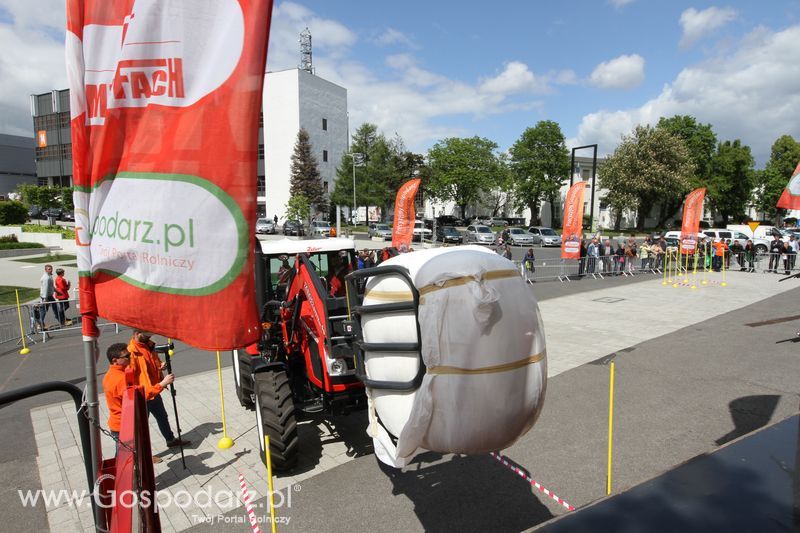 Precyzyjny Gospodarz na KWZH 2015 - niedziela