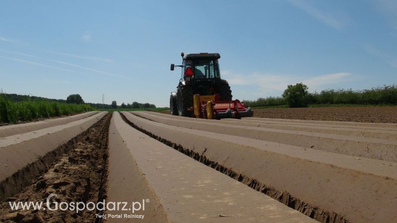 Agregat AUR2 i siewnik pneumatyczny MAX PNEUMATIC  w pracy