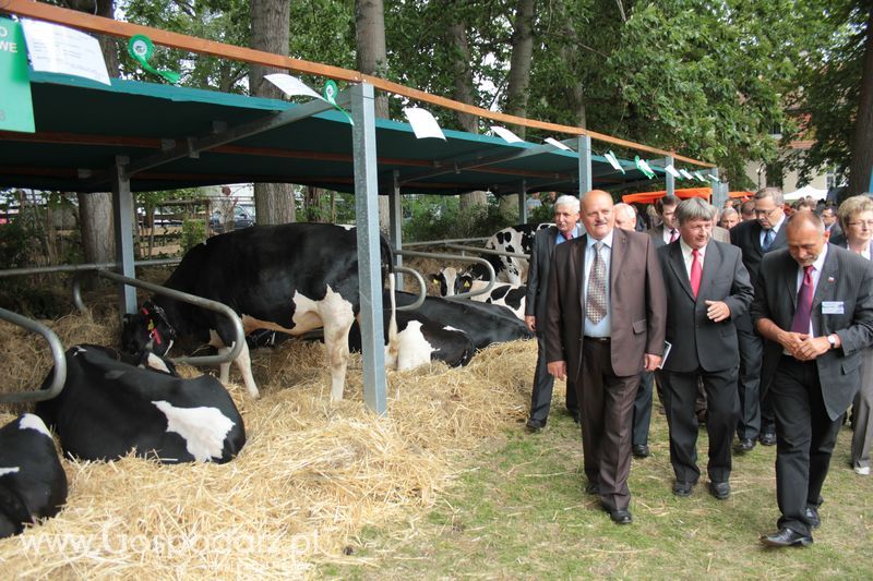  XX Targi Rolnicze Lubniewice