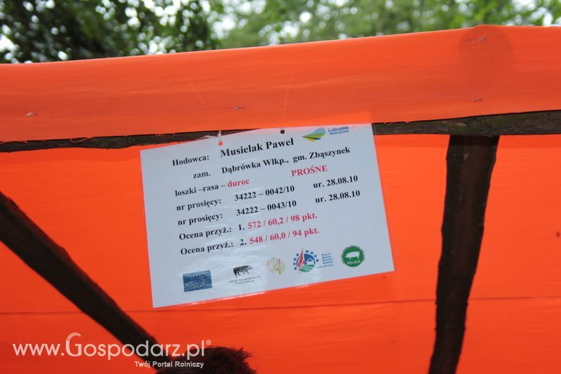 XX Targi Rolnicze Lubniewice - zwierzęta