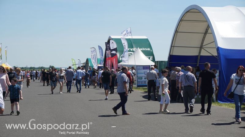 ZIELONE AGRO SHOW 2017 w Ułężu (niedziela, 28 maja)