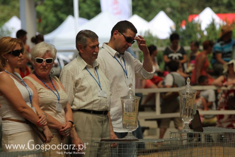 Zielone AGRO SHOW – POLSKIE ZBOŻA 2014 w Sielinku - niedziela