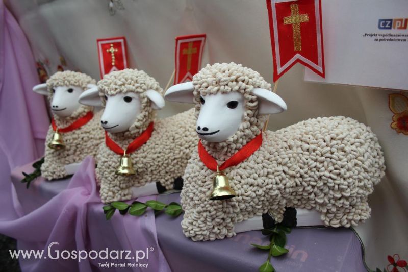 Stoły KGW - XVI Spotkania Tradycji Wielkanocnych Ziemi Kłodzkiej