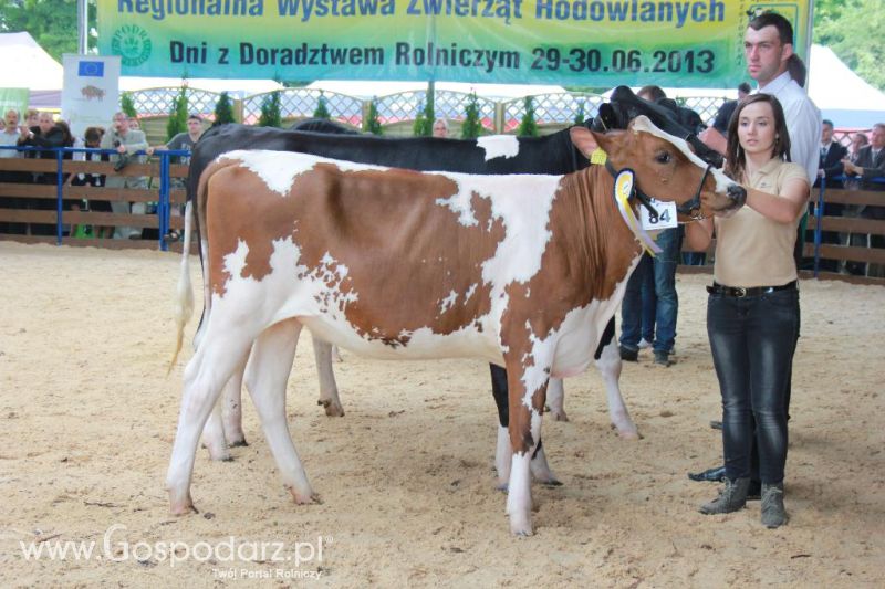 Regionalna Wystawa Zwierząt Hodowlanych i Dni z Doradztwem Rolniczym w Szepietowie-niedziela