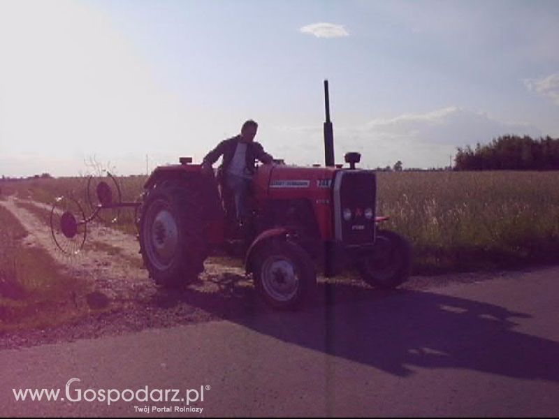Sianokosy 2013