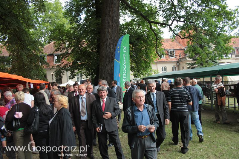  XX Targi Rolnicze Lubniewice